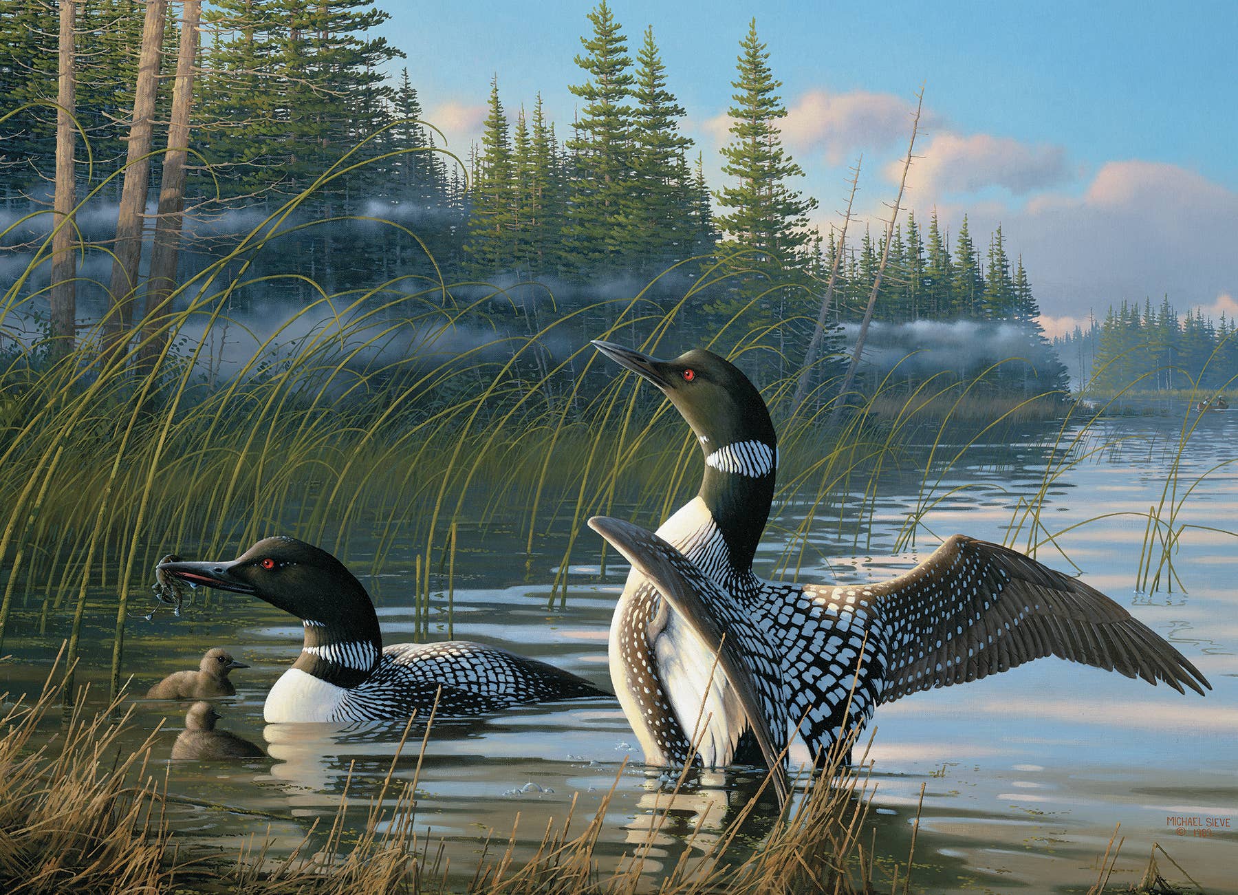 Common Loons puzzle