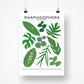 Species ID Chart - Botanical Houseplant Art Print