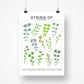 Species ID Chart - Botanical Houseplant Art Print