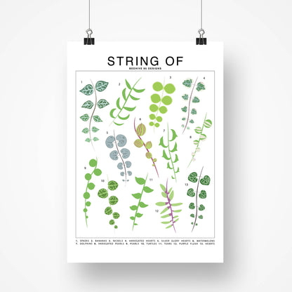 Species ID Chart - Botanical Houseplant Art Print