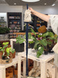 LITF Macrame Hanger