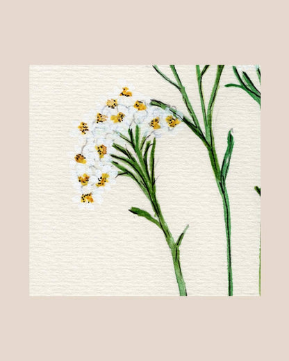 Wildflower Watercolor Print Botanical Wall Art