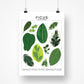 Species ID Chart - Botanical Houseplant Art Print