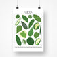 Species ID Chart - Botanical Houseplant Art Print