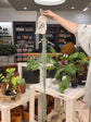 LITF Macrame Hanger