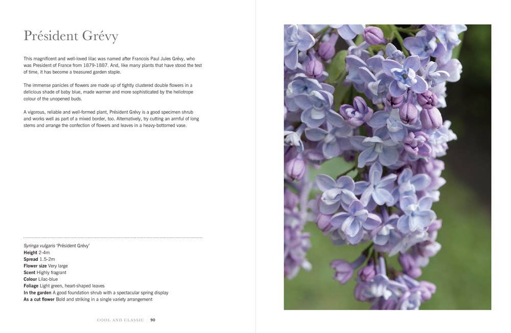 Lilacs: Beautiful Varieties for Home &amp; Garden