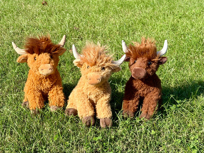 Wild Onez Highland Cow