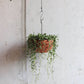 Bolty – Hanging planter system for plant pots