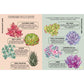 Houseplant Survival Guide Book