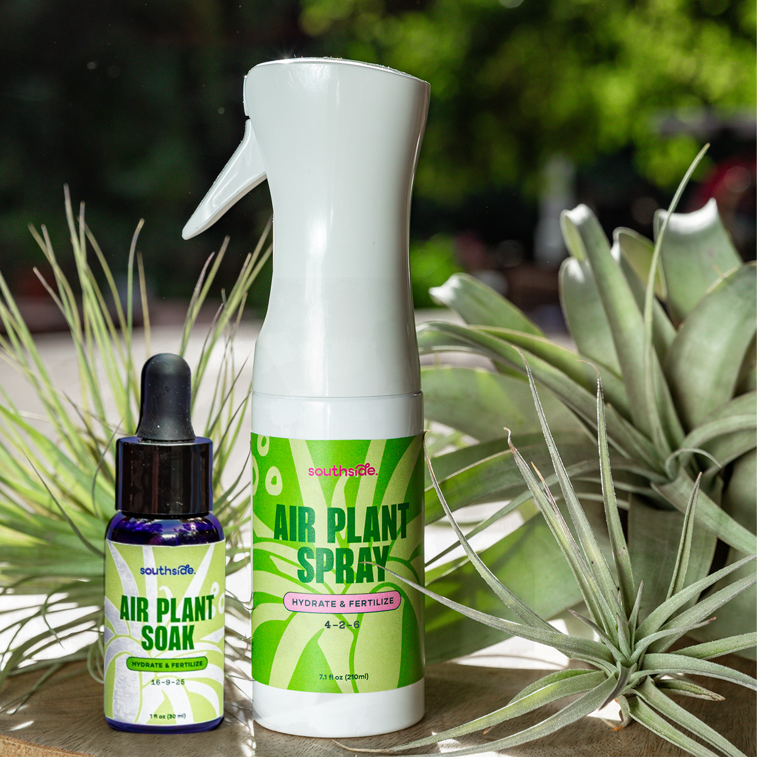 Air Plant Fertilizer: Soak