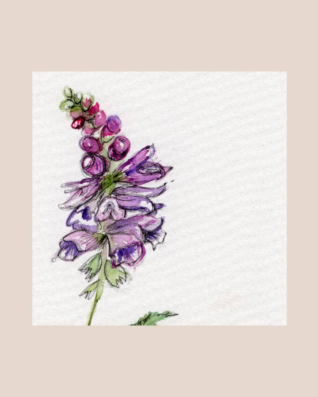 Wildflower Watercolor Print Botanical Wall Art