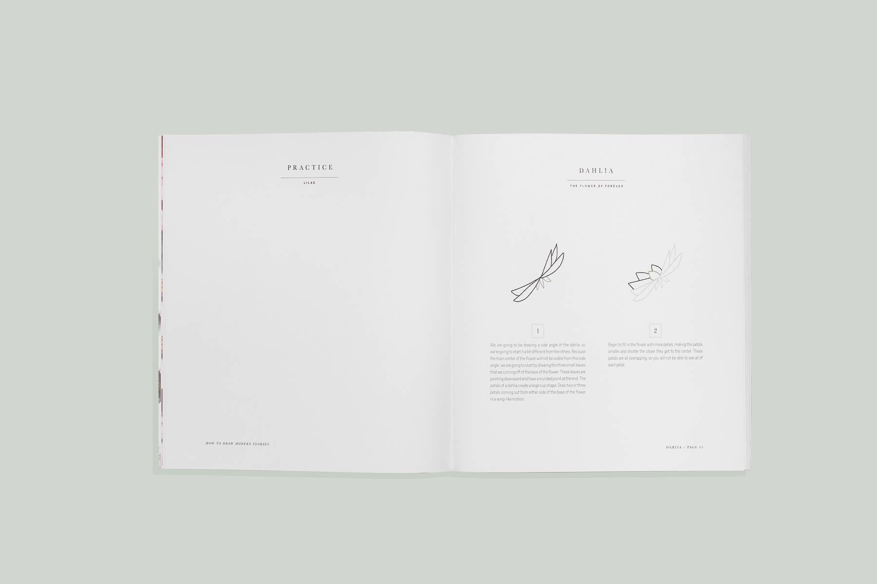 How to Draw Modern Florals (Mini)