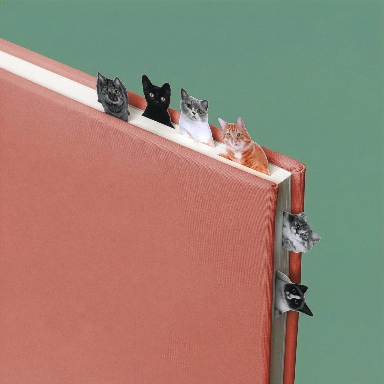 Cat Page Markers