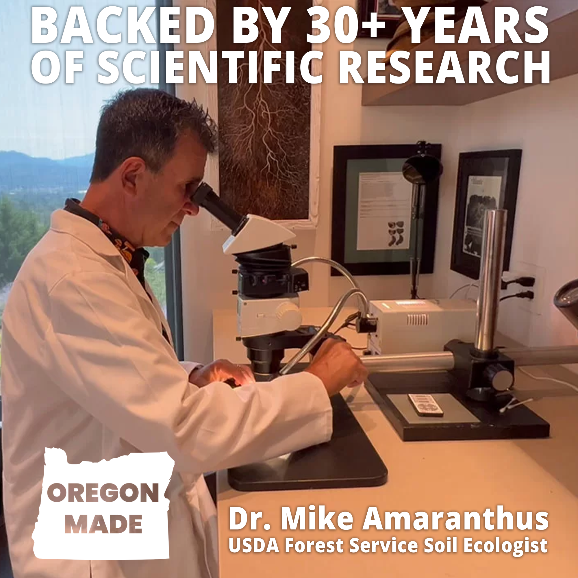 Big foot mycorrhizal fungi