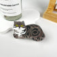 Cat claw clip