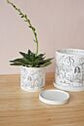 Plant Lady Pot with Saucer