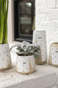 Treeline Pot
