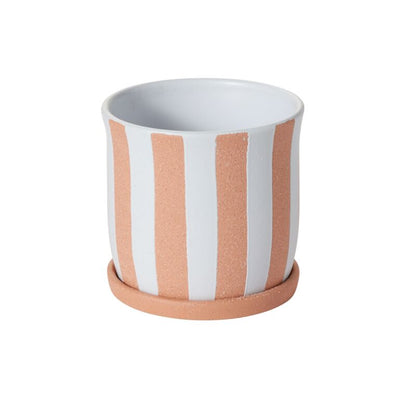 Andreas Pot with Saucer