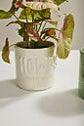 Plantism Pot