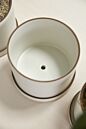 Author Pot with Saucer