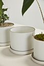 Author Pot with Saucer