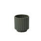 Carmen Pot
