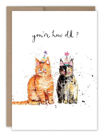 Cats You&