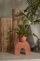 Jacinto Planter