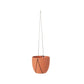 Palma Hanging Pot