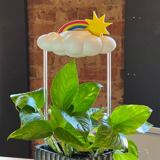 Dripping Rain Cloud with Sun and Rainbow Charms