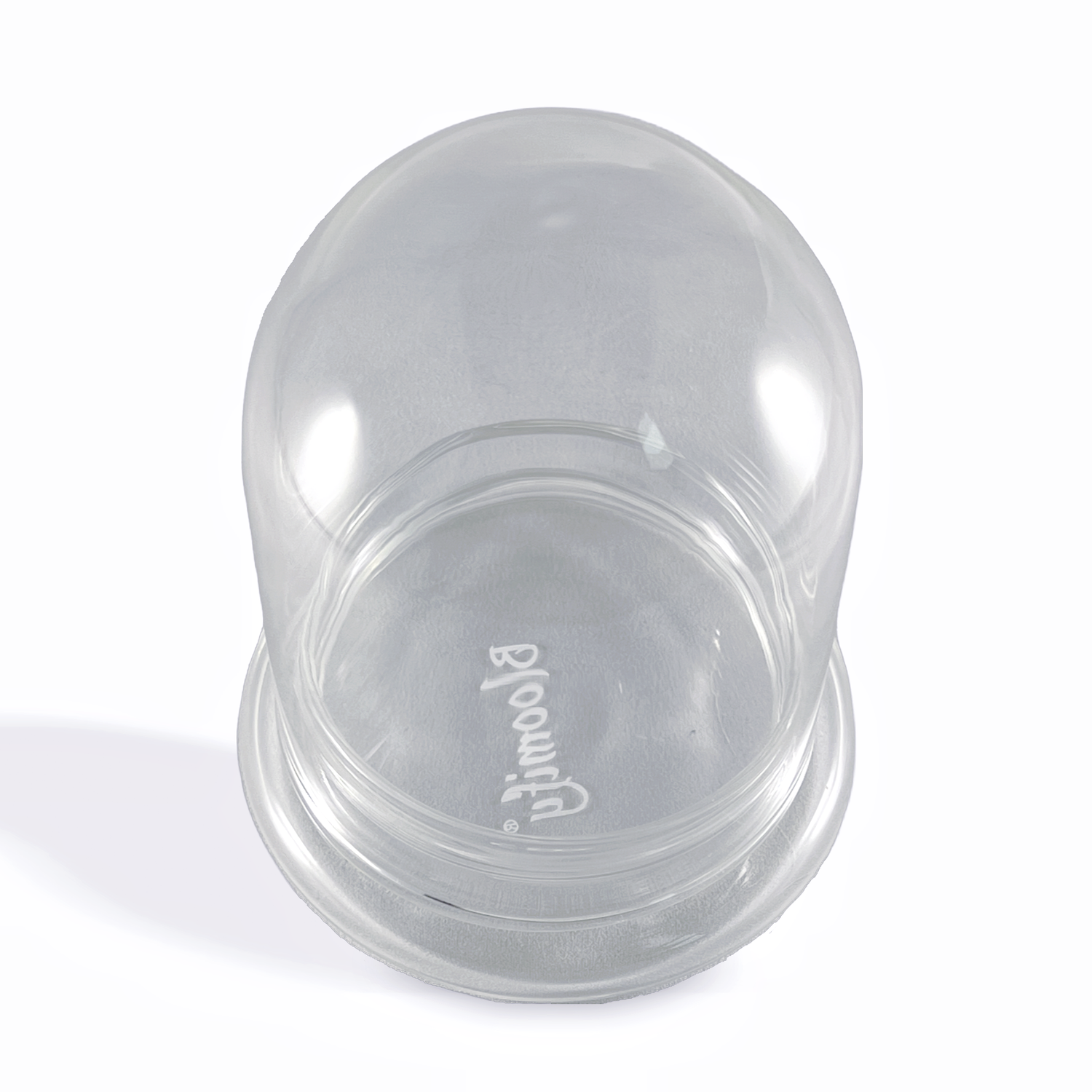 Medium Glass Dome