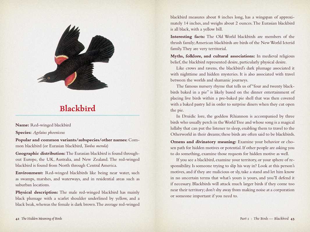 Hidden Meaning of Birds
