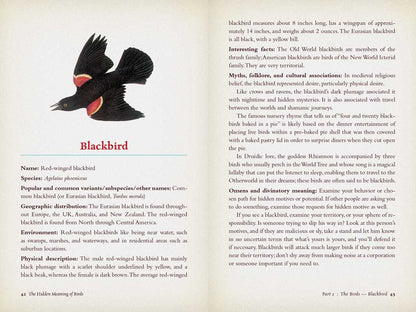 Hidden Meaning of Birds
