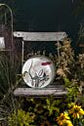 Wild Meadow Collection
