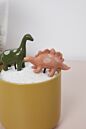 Dinosaur Friends Plant Sticks