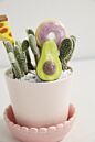 Yummy Plant Sticks
