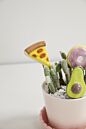 Yummy Plant Sticks