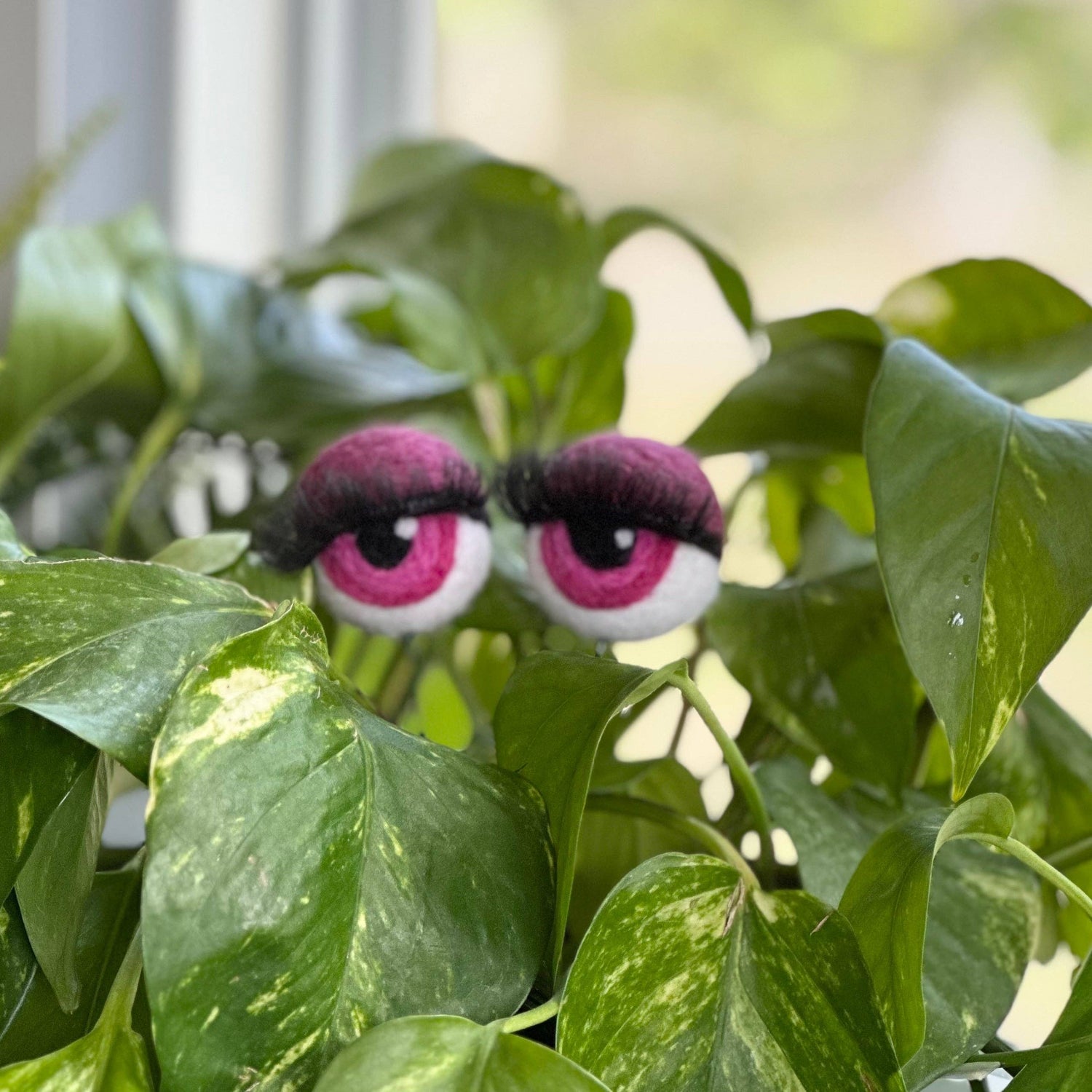 Planter Eyeballs with Lashes