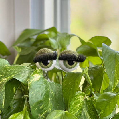 Planter Eyeballs with Lashes