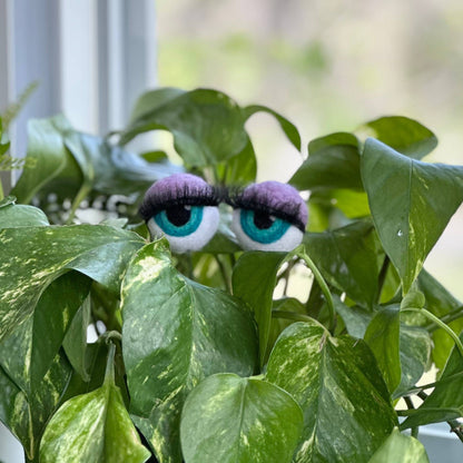 Planter Eyeballs with Lashes