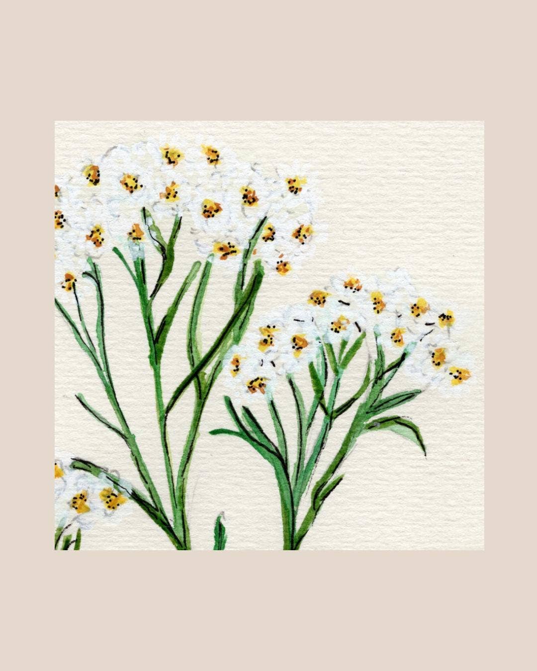 Wildflower Watercolor Print Botanical Wall Art