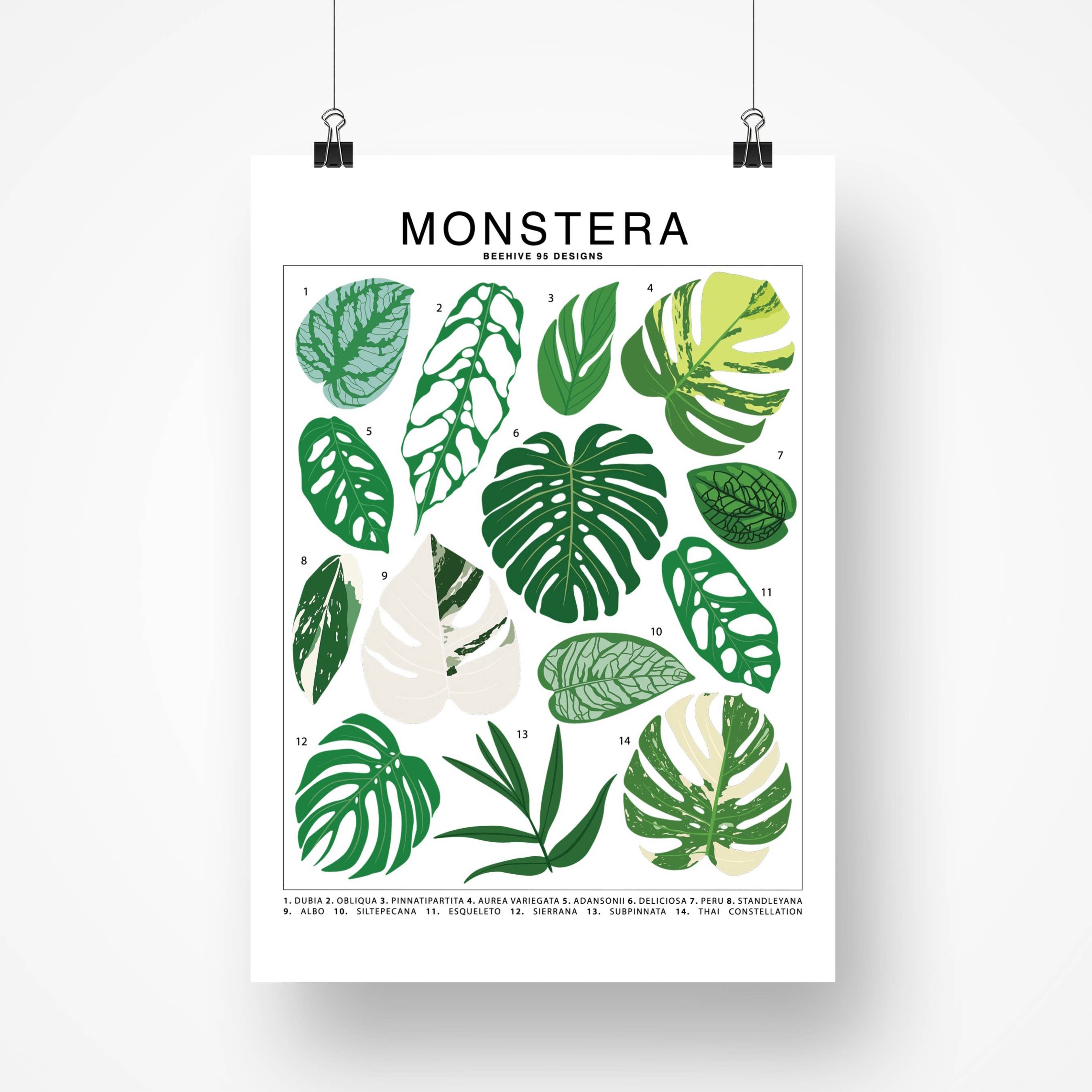 Species ID Chart - Botanical Houseplant Art Print