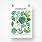 Species ID Chart - Botanical Houseplant Art Print