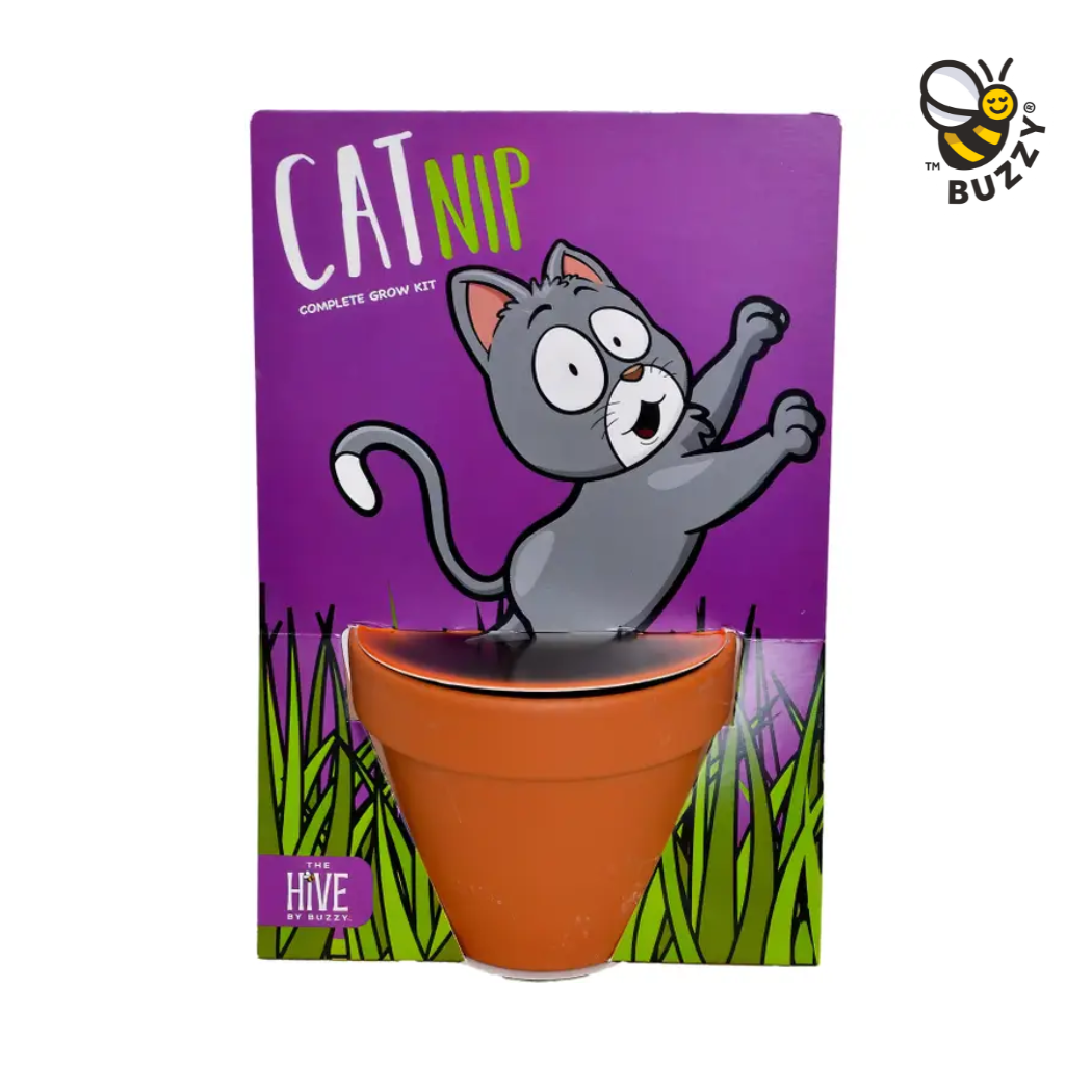 Cat Nip Grow Kit