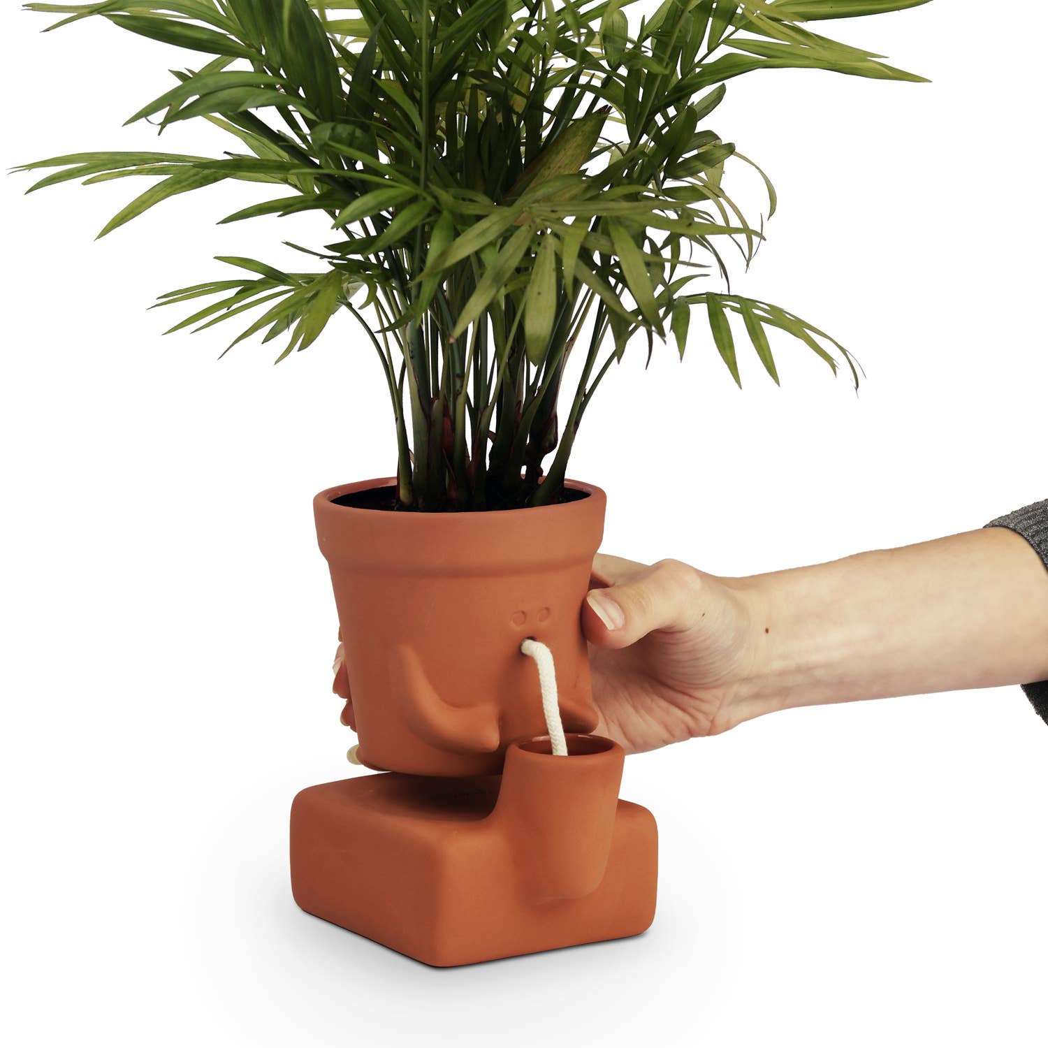 The Thirsty Planter