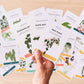 Houseplant Care Cards, Edition 2