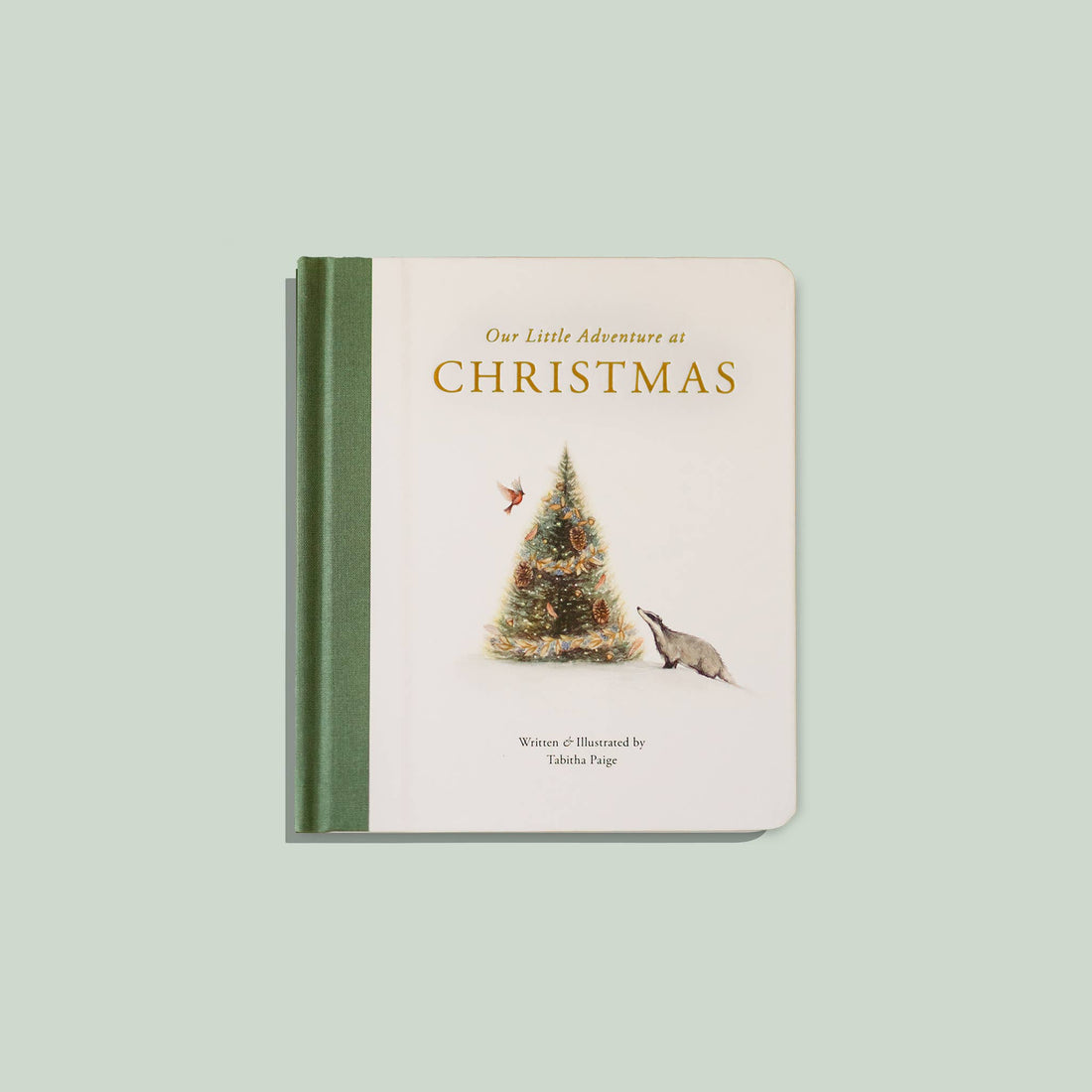 Our Little Adventure at Christmas (Baby&