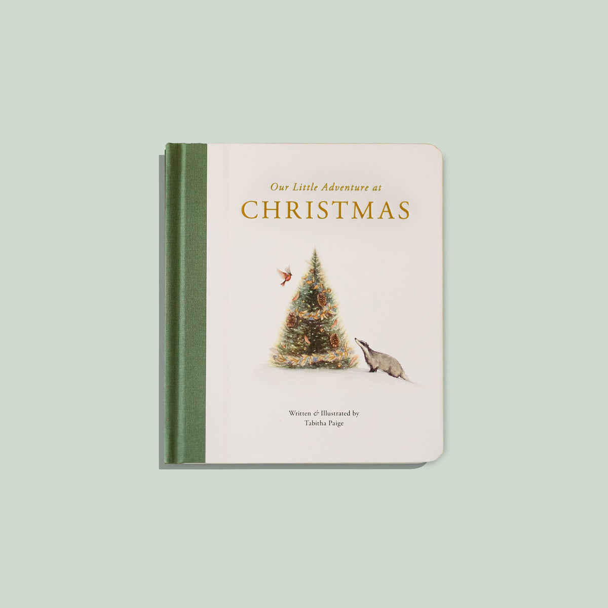 Our Little Adventure at Christmas (Baby&