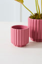 Carmen Pot