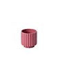 Carmen Pot